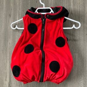 Ladybug costume for 2-3T